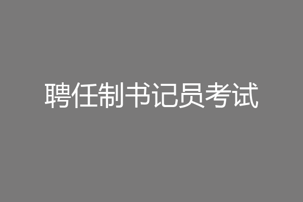 聘任制书记员考试