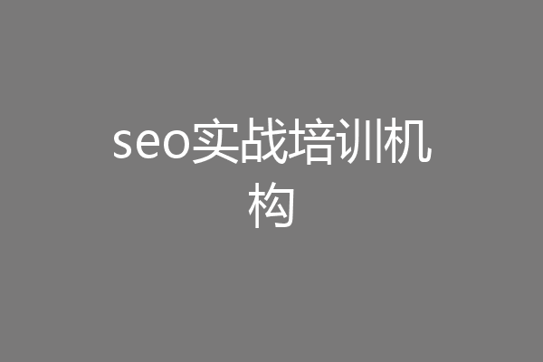 seo实战培训机构