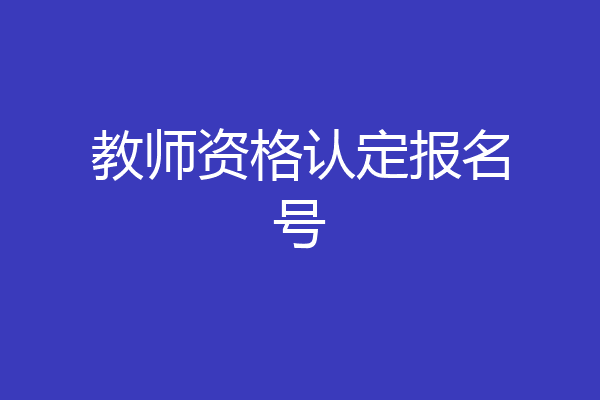 教师资格认定报名号
