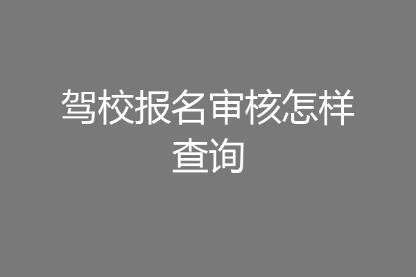 驾校报名审核怎样查询