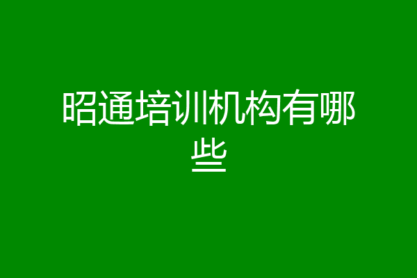 昭通培训机构有哪些