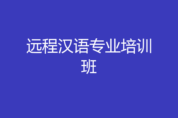 远程汉语专业培训班