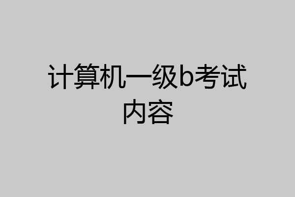 计算机一级b考试内容