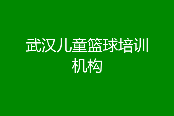 武汉儿童篮球培训机构