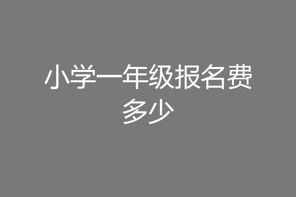 小学一年级报名费多少