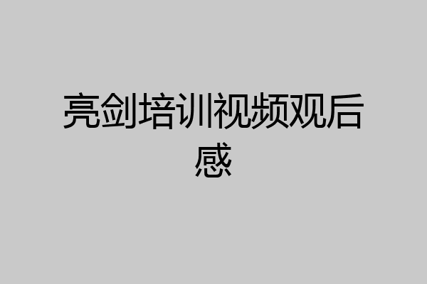 亮剑培训视频观后感