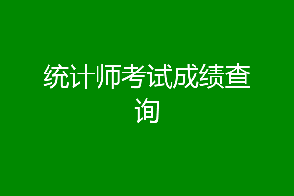 统计师考试成绩查询