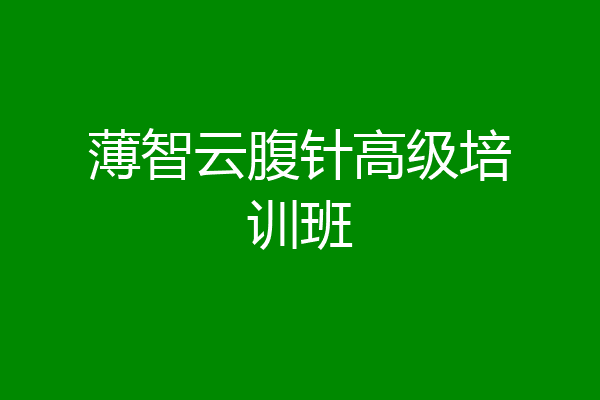 薄智云腹针高级培训班