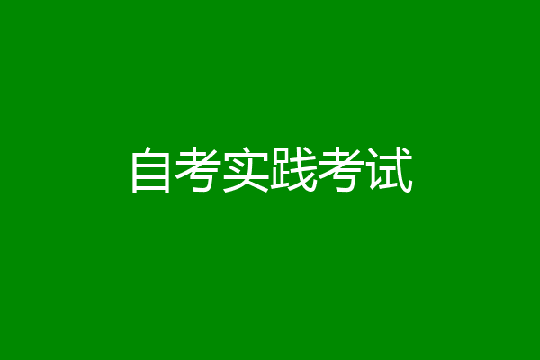 自考实践考试