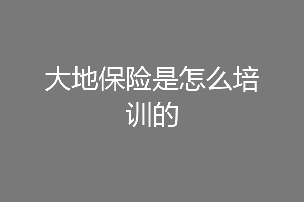 大地保险是怎么培训的