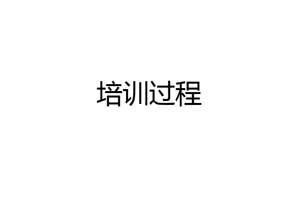 培训过程