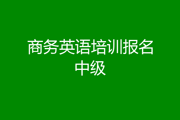 商务英语培训报名中级