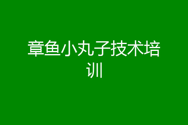 章鱼小丸子技术培训