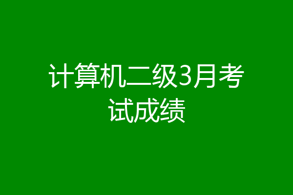 计算机二级3月考试成绩