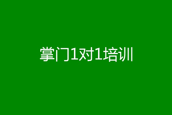 掌门1对1培训