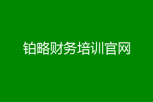 铂略财务培训官网