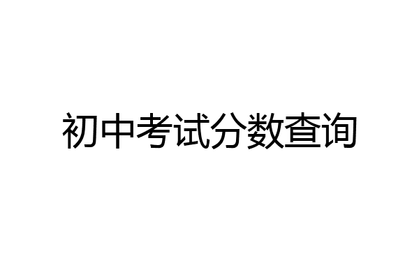 初中考试分数查询