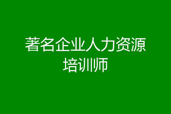 著名企业人力资源培训师