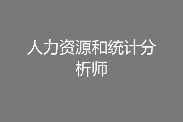 人力资源和统计分析师