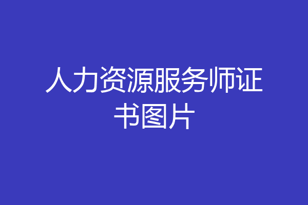 人力资源服务师证书图片