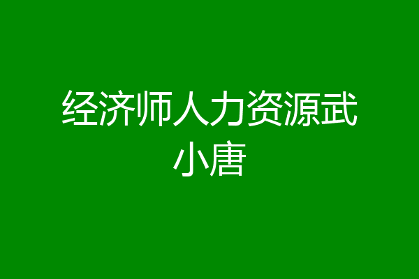 经济师人力资源武小唐
