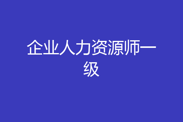 企业人力资源师一级