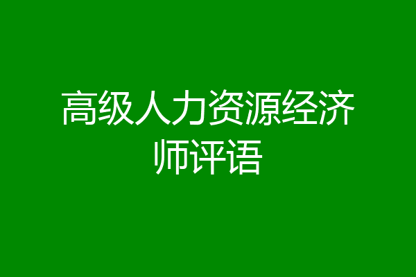 高级人力资源经济师评语