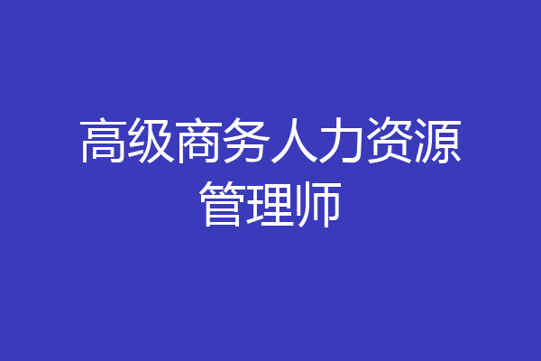 高级商务人力资源管理师