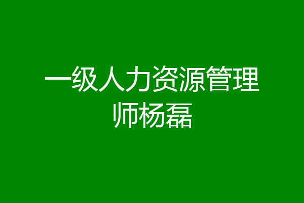 一级人力资源管理师杨磊