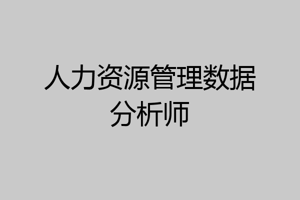 人力资源管理数据分析师