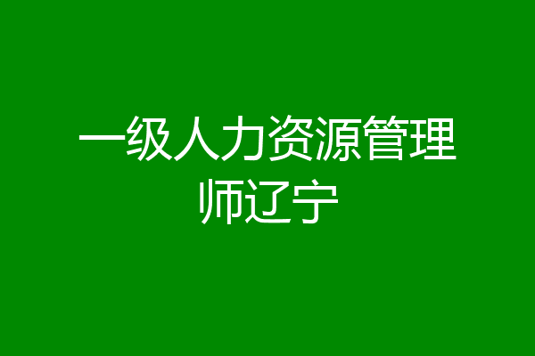 一级人力资源管理师辽宁