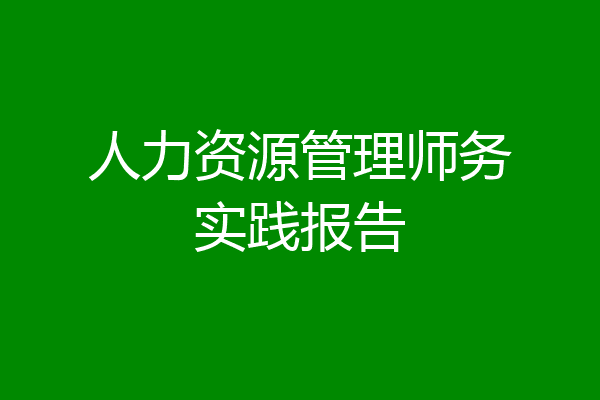人力资源管理师务实践报告