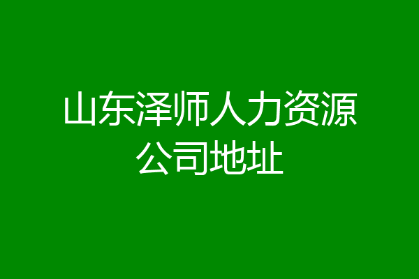 山东泽师人力资源公司地址