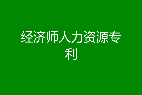 经济师人力资源专利