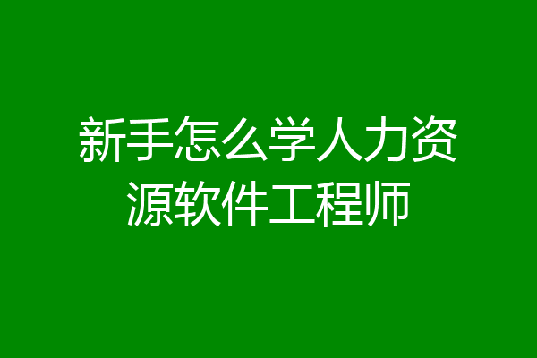 新手怎么学人力资源软件工程师