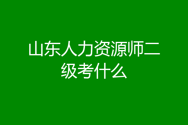 山东人力资源师二级考什么