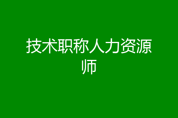 技术职称人力资源师