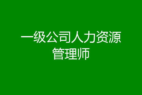 一级公司人力资源管理师