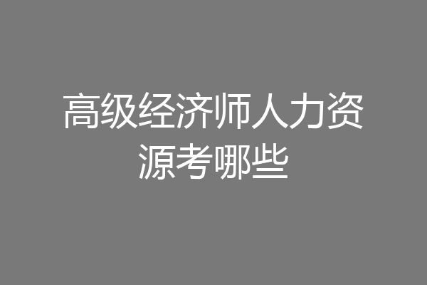 高级经济师人力资源考哪些