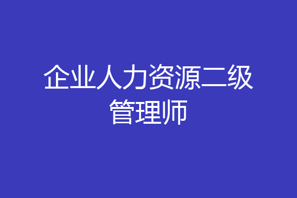 企业人力资源二级管理师