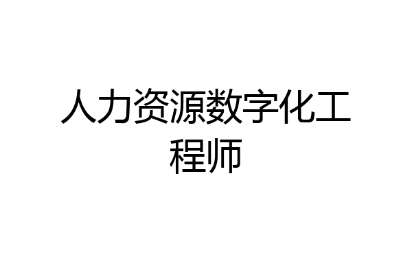 人力资源数字化工程师