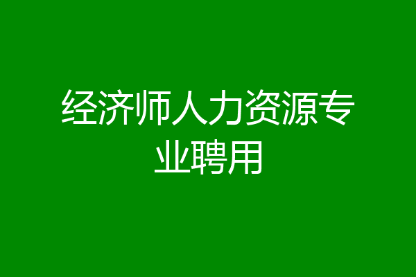 经济师人力资源专业聘用