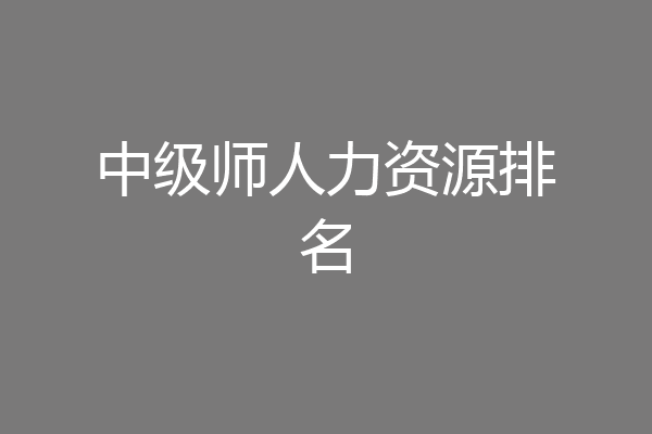中级师人力资源排名
