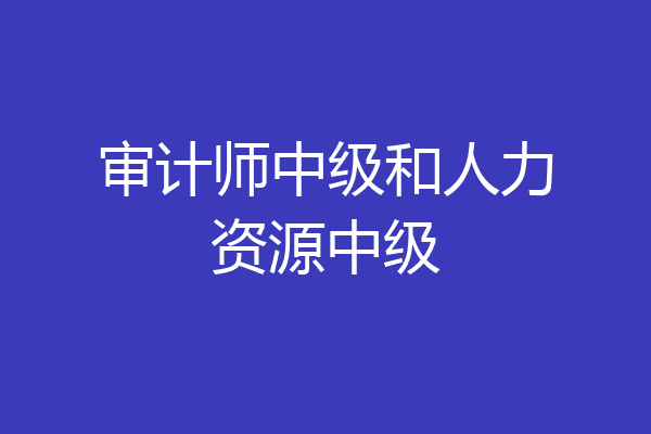 审计师中级和人力资源中级