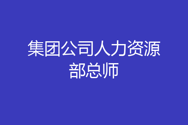 集团公司人力资源部总师