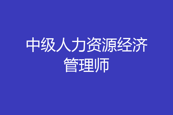 中级人力资源经济管理师