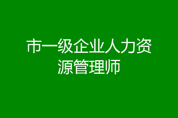 市一级企业人力资源管理师