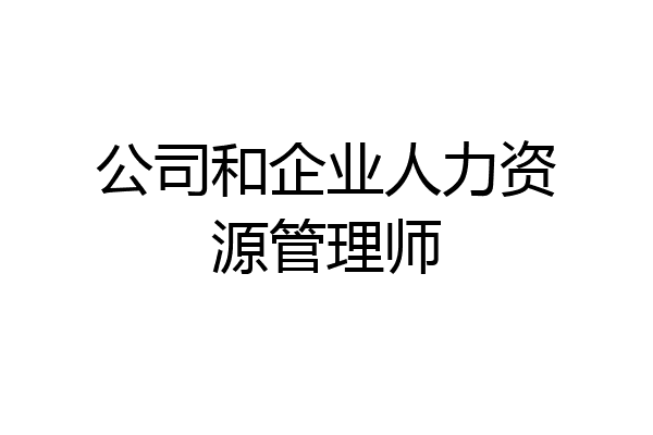 公司和企业人力资源管理师