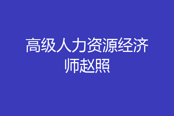 高级人力资源经济师赵照
