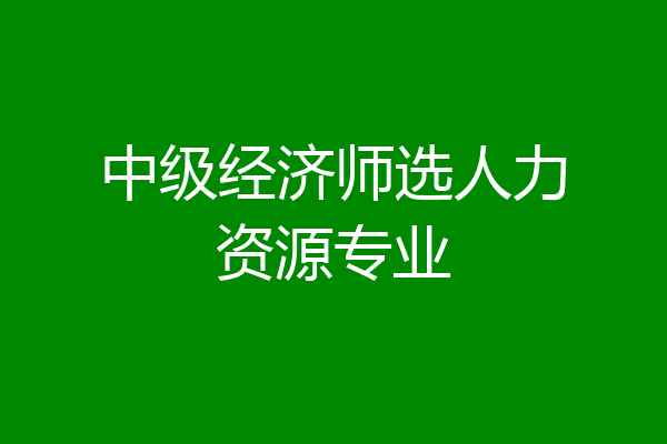 中级经济师选人力资源专业